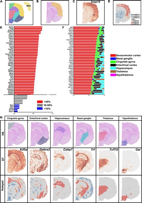 Frontiers Detection Of Differentially Expressed Genes In Spatial