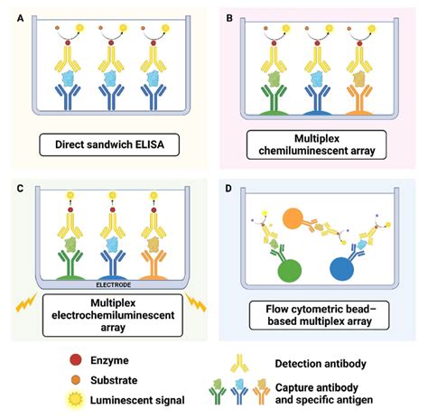 Overview Of Arrays For Quantifying Cytokine Release A Elisa A 96