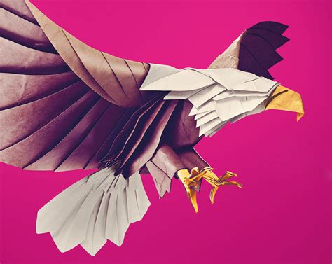 PIAF 2014 on Behance
