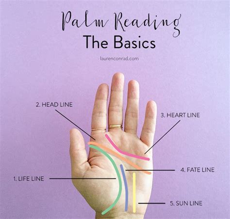 Hocus Pocus The Easy Guide To Palm Reading 101 Lauren Conrad Palm Reading Palmistry