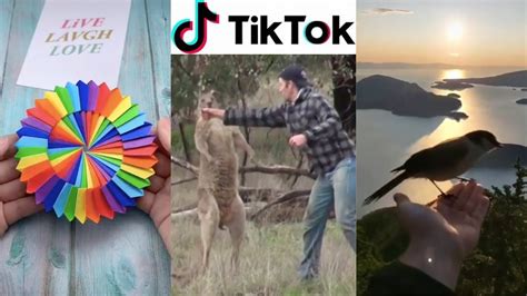 Best Tik Tok Viral Compilation February 2020 9 Youtube