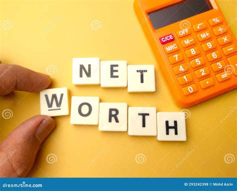 The Net Worth Enigma