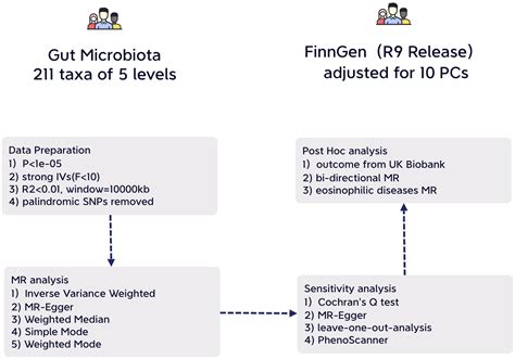 Frontiers Casual Effects Of Gut Microbiota On Risk Of Infections A