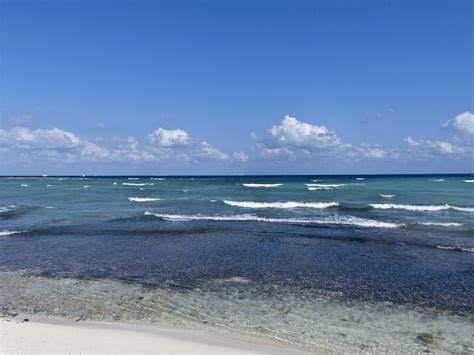 resort beach  stock photo public domain pictures