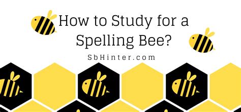 How To Study For Spelling Bee Spelling Bee Hinter