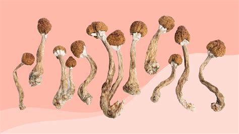 Psilocybin