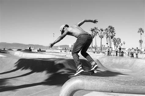 Free Images Black And White Palm Tree Skateboard Skate Extreme