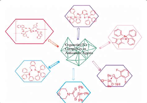 Different organotin complexes used as anticancer agents. | Download Scientific Diagram