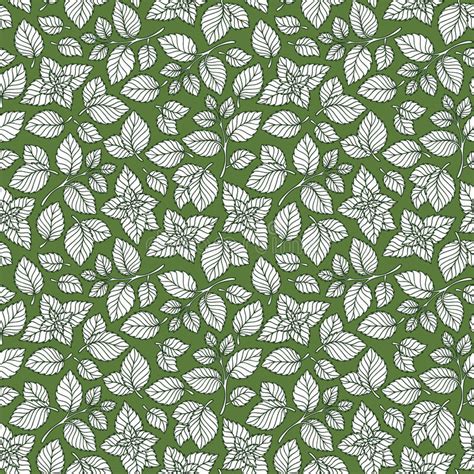 Hand Drawn Vector Seamless Pattern With Mint Leaves Stock Vector