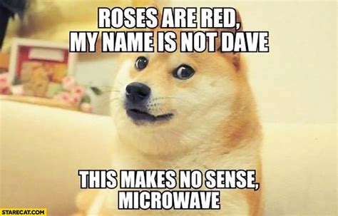 Roses Are Red My Name Is Not Dave This Makes Not Sense Microwave Doge