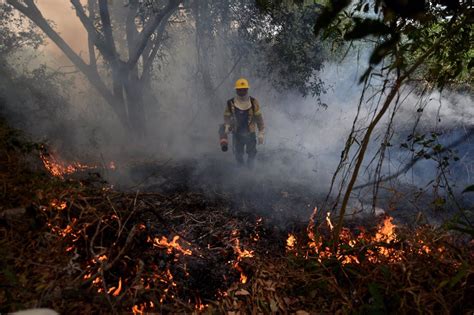 Senapred Decreta Alerta Roja En Zona Central Por Incendio Forestal El