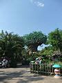 categorythe tree  life disney wikimedia commons