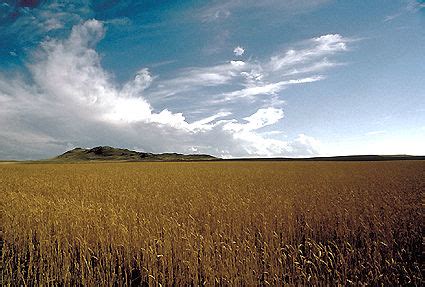 Prairie The Canadian Encyclopedia