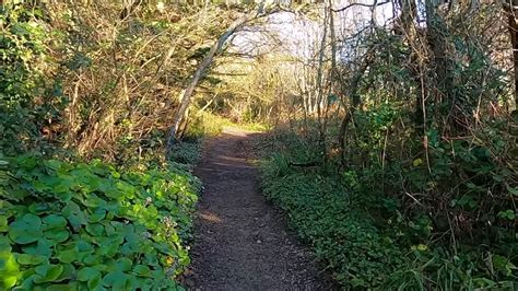 Virtual Walk Bonchurch Landslip To Shanklin [part 2] Isle Of Wight January 2022