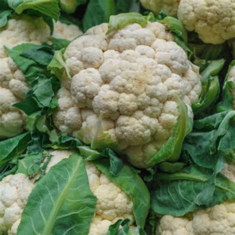 Jual Kembang Kol Cauliflower Gram Sayur Curah Shopee Indonesia