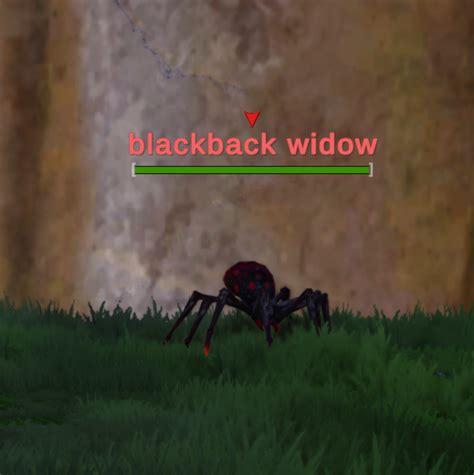 Blackback Widow Shalazam