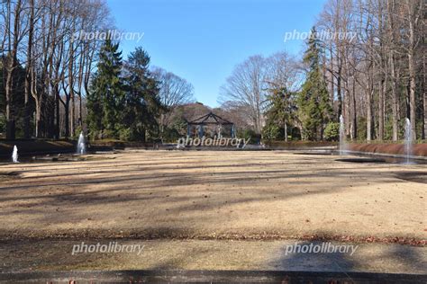 冬の栃木県中央公園 写真素材 [ 6248504 ] フォトライブラリー Photolibrary