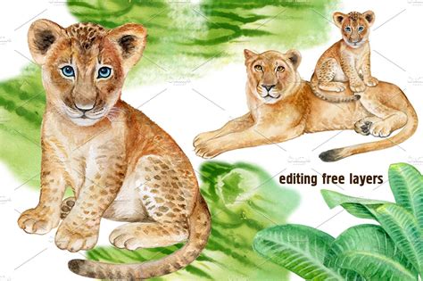 Lion Family. Watercolor | Pre-Designed Photoshop Graphics ~ Creative Market