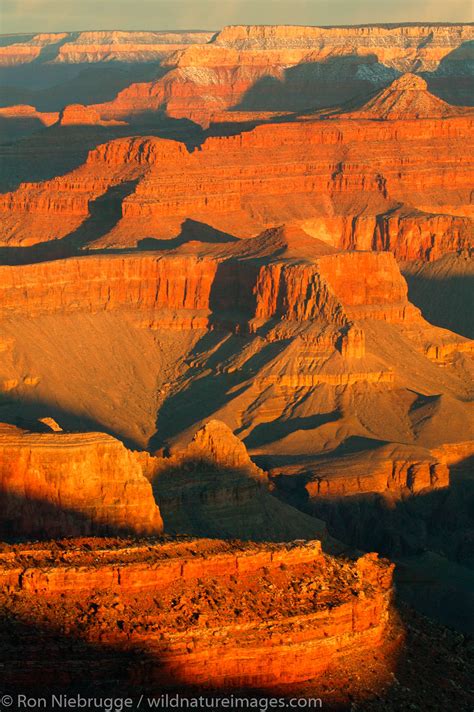 Grand Canyon National Park Photos By Ron Niebrugge