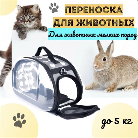 Переноска для животных мелких пород прозрачная воздухопроницаемая сумка ...