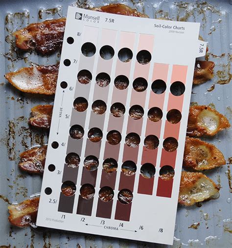 Bacon Chart A Visual Reference Of Charts Chart Master