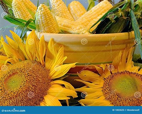 Corn And Sunflowers Royalty Free Stock Photo - Image: 1003625