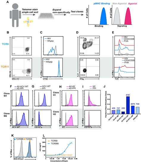 Figure From Isolation And Visualization Of A Structural Trigger That