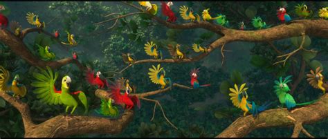 Parrots From Rio Desktop Wallpaper