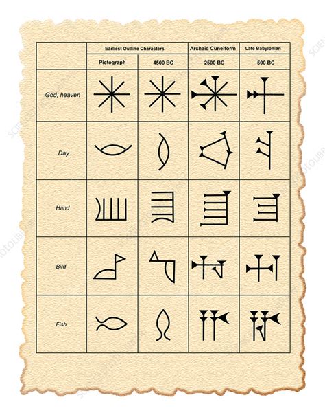 Cuneiform script - Stock Image - E900/0327 - Science Photo Library