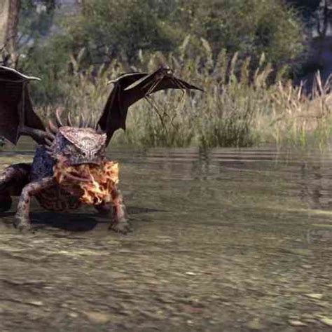 The Elder Scrolls Online: Tamriel Unlimited - Thieves Guild Review ... 