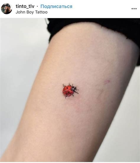 Pin By Maicol Stiven Gonzalias On Aaaaaa Bug Tattoo Lady Bug Tattoo