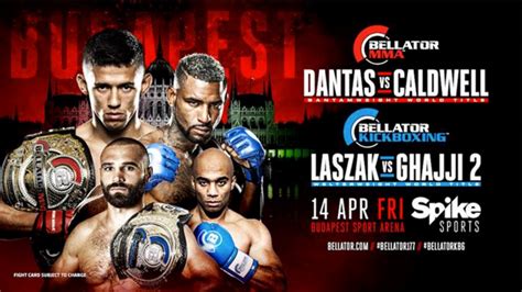 Bellator Mma And Kickboxing Title Fights Set For Budapest Fight Sports