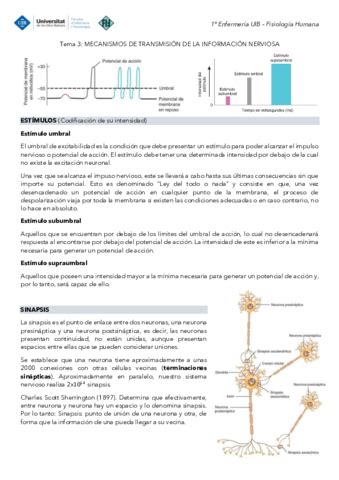 Tema 3 Fisiologia Mecanismos De Transmision De La Informacion Nerviosa Pdf