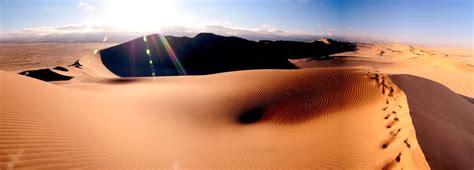 African Safari articles - Extraordinary Activities to do in the Namib ...