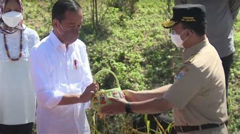 Tanah Yang Dibawa Anies Ke Ikn Hasil Cangkulan Emak Emak Kampung