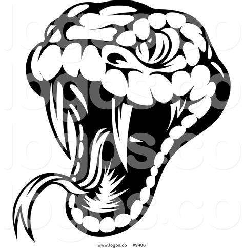 Cobra Snake Head Drawing at GetDrawings | Free download