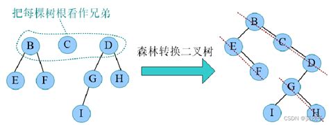 详解二叉树的存储王道版C C c 顺序二叉树节点存储信息 CSDN博客