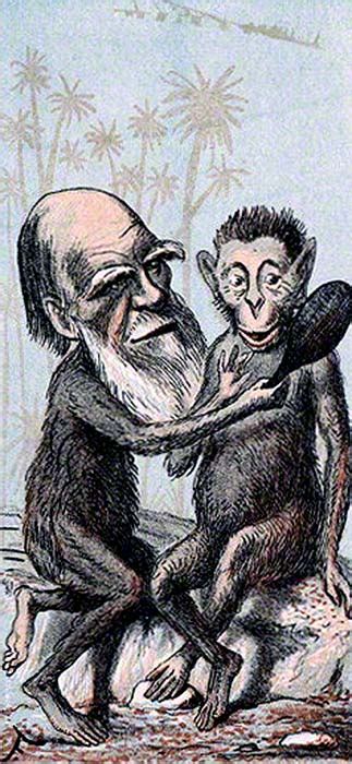 Darwin As A Monkey Ideas In New Zealand Te Ara Encyclopedia Of New