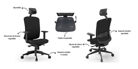 Las Claves Para Elegir La Silla Ergon Mica Ideal Para Ti V A Office