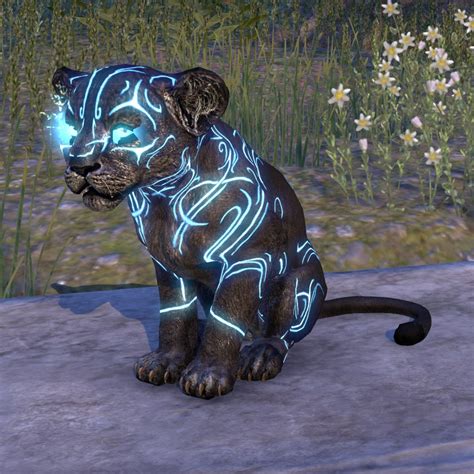 Online Psijic Mascot Senche Cub Furnishing The Unofficial Elder