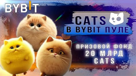 Cats Bybit Youtube