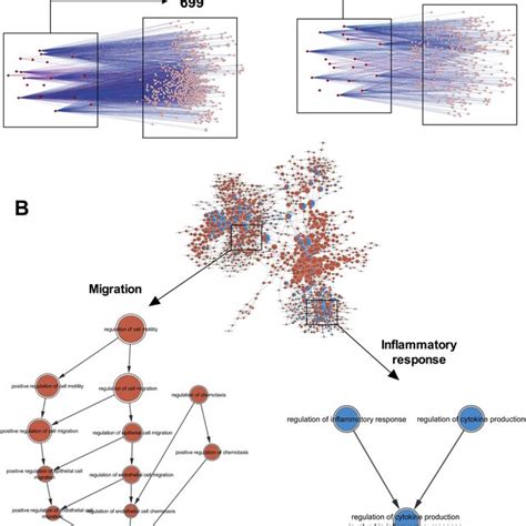 Target Gene Prediction Of Mirnas Identified In Evt Derived Exosomes