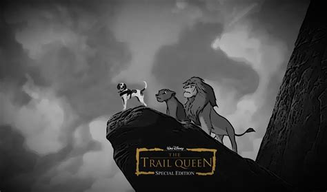 Rip Dog Trail Queen - Anians - Mountain Biking Pictures - Vital MTB