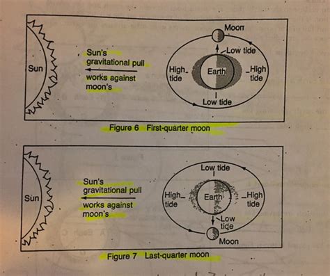 Earth Science Moon Tides Flashcards Quizlet