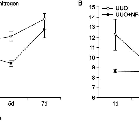 Ring Type Nf Kappa B Nf Kb Decoy Oligodeoxynucleotide Odn Prevents