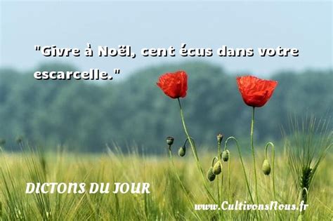 Citation Noël Les Citations Pour Noël Cultivonsnousfr