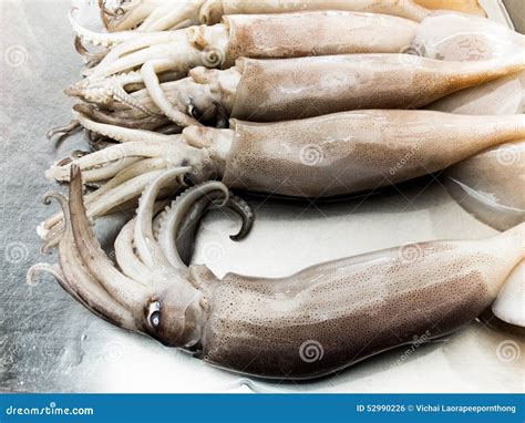 Fresh Squid On The Seafood Market Stock Photo Image Of Cook