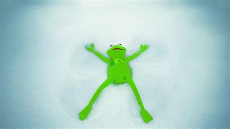 Kermit the frog wallpaper | (108567)