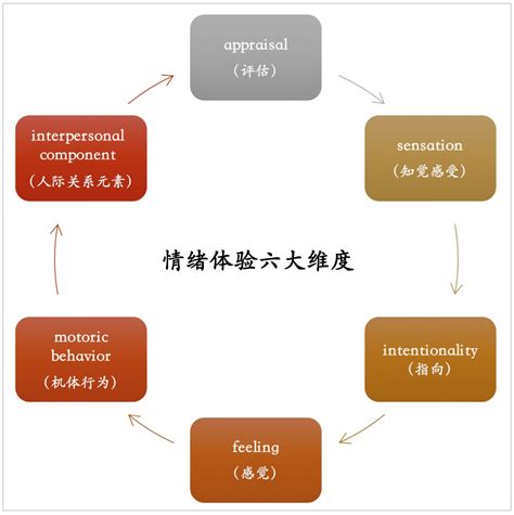 悲剧的背后，是情绪管理教育的严重缺失价值观情绪教育新浪新闻