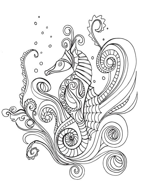 Seahorse Outline Drawing At Getdrawings Free Download